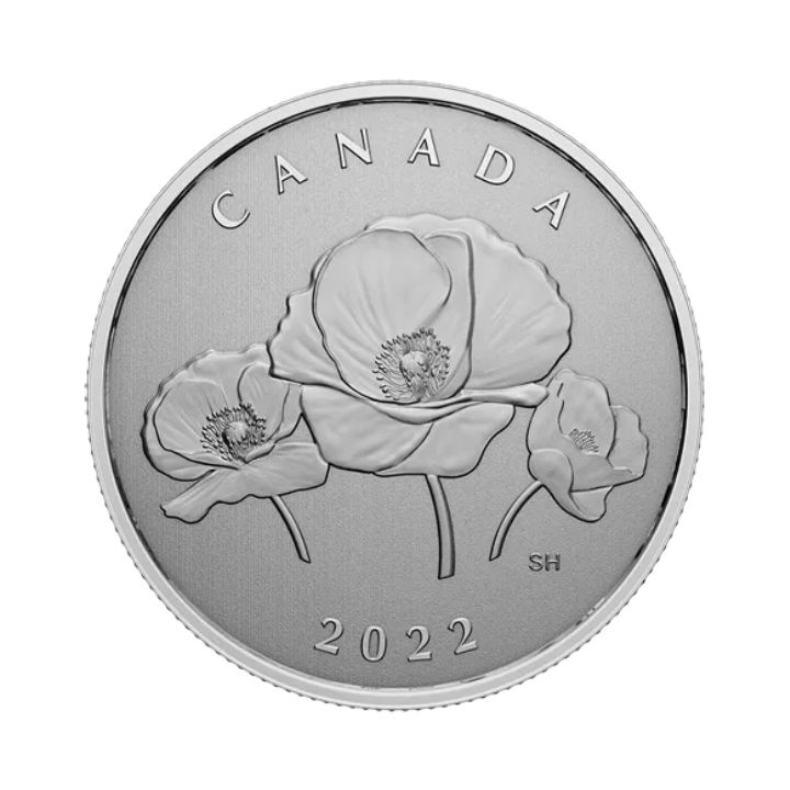 Canada: Moments to Hold: Remembrance Day 1/4 uncji Srebra 2022 Specimen