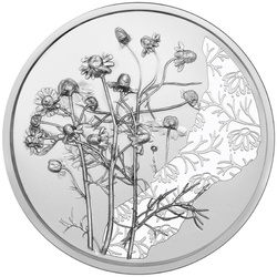 The Chamomile 10 Euro Srebro 2023
