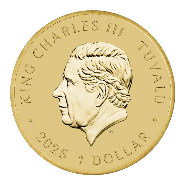 Teenage Mutant Ninja Turtles 13,5 g Aluminiumbronze 2025 (Münze in Karte)