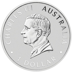 Koala kolorowana 1 uncja Srebra 2025 (Brisbane Money Expo Anda Special)