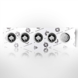 Jardín Botánico de Santa Lucía 1 oz Plata 2021