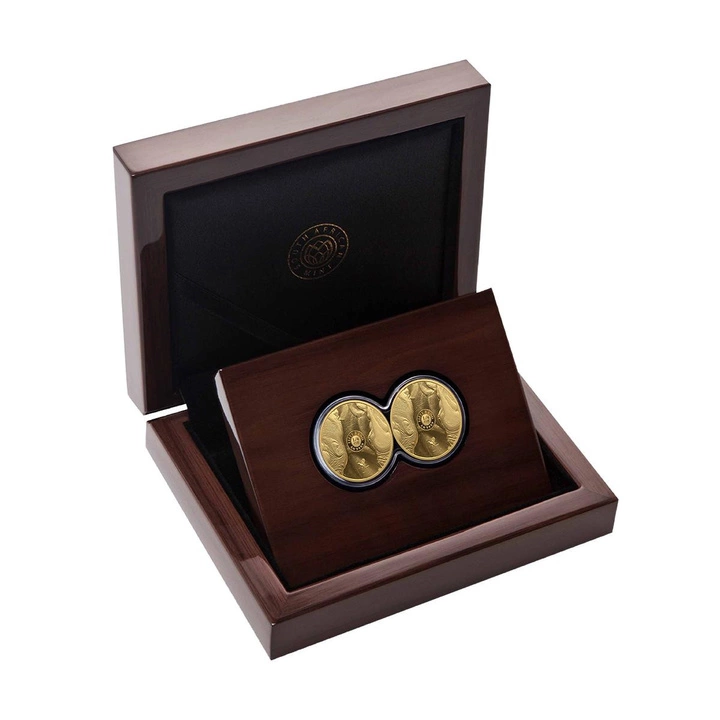 Big Five III: Rinoceronte set 2 × 1/4 oz oro 2025 Proof