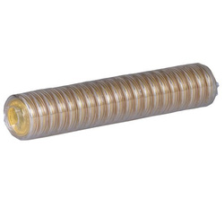 Canguro australiano 1 oncia d'oro 2021