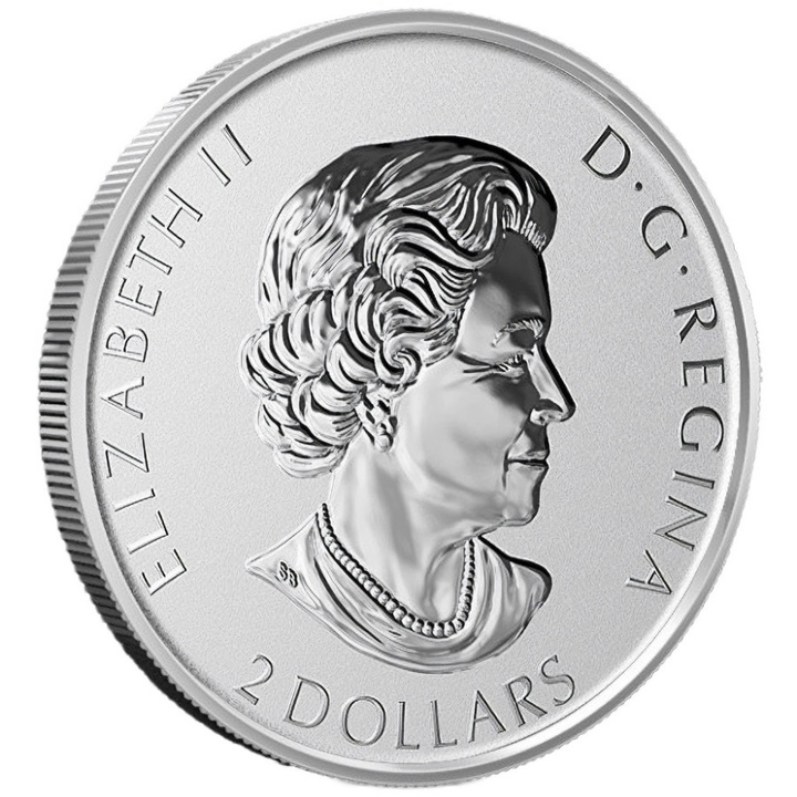 Canada: Animal Portraits – Virginia-Uhu 3/4 Unze Silber 2021