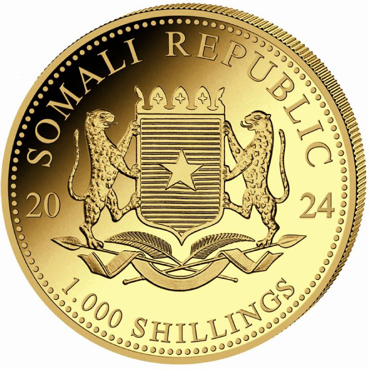 Somalia: African Wildlife - Leopard 1 oz Gold 2024