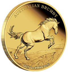 Australský divoký kůň – Brumby 1 unce zlata 2022 Proof