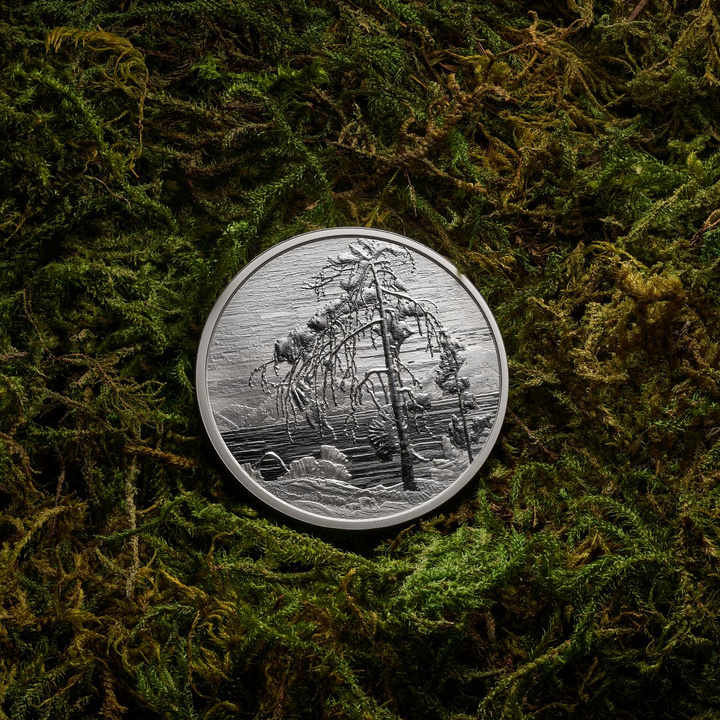 Канада: Боровият бор (The Jack Pine) от Том Тъмсън, 30 долара, сребро, 2026, Proof