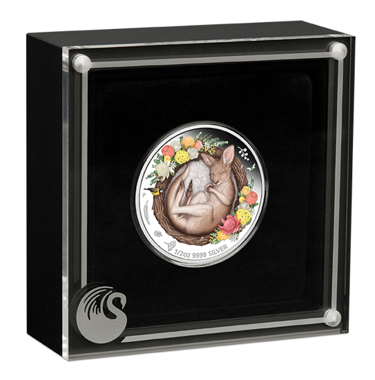 Dreaming Down Under: Canguro addormentato colorato 1/2 oncia d'argento 2021 Proof