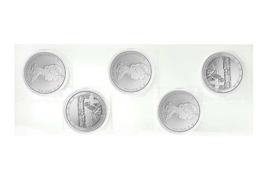 Niagarské vodopády 10 uncí stříbra 2017