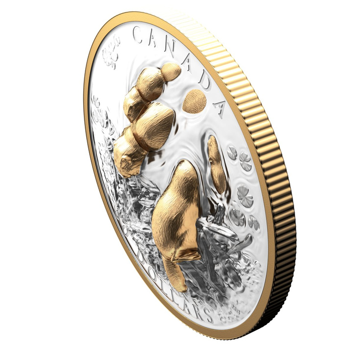 Kanada: Canadian Symbol – The Beaver pozlacený $50 Stříbro 2025 Proof High Relief