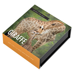 Australia Zoo : Girafe 1 once d'or 2024