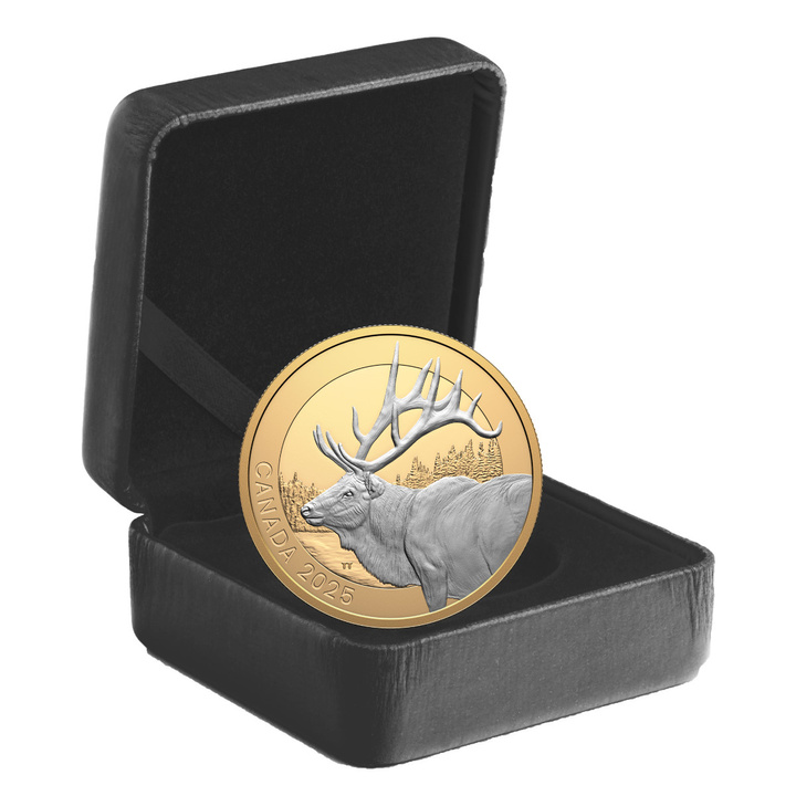 Canada : Animal Portraits - Elk plaqué or 20 Argent 2025 Proof