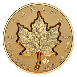 Maple Leaf Super Incuse 2 unce zlata 2021 Proof