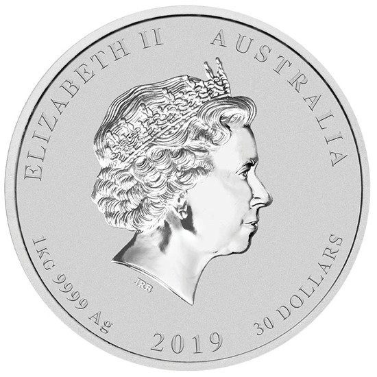 Lunar II Anul Porcului 1000 g Argint 2019
