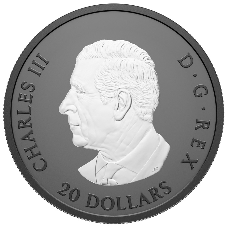 Canada: Elegante acero $20 Argento 2025 Proof opaco