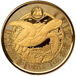 Cayman Islands: Loggerhead Turtle 1 oz Gold 2023 Prooflike
