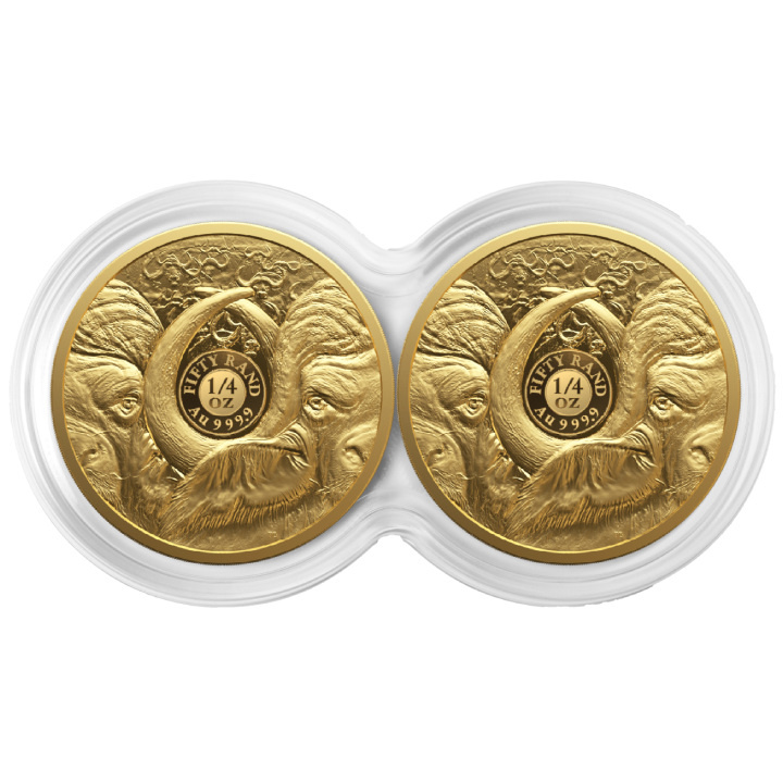 Big Five II: Búfalo 2 x 1/4 oz Gold Set 2023 Proof