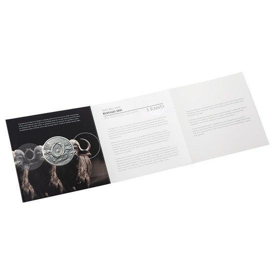 Big Five: Büffel 1 oz Silber 2021