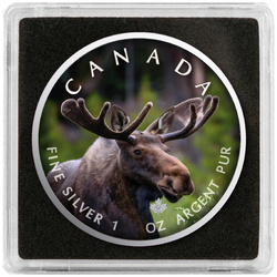 Canada's Wildlife: Maple Leaf - Moose coloured 1 oz Silver 2021 Coin