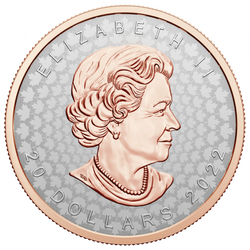 Hoja de Arce Super Incuse 1 oz Plata 2022 Proof