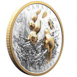 Kanada: Canadian Symbol – The Beaver vergoldet $50 Silber 2025 Proof High Relief