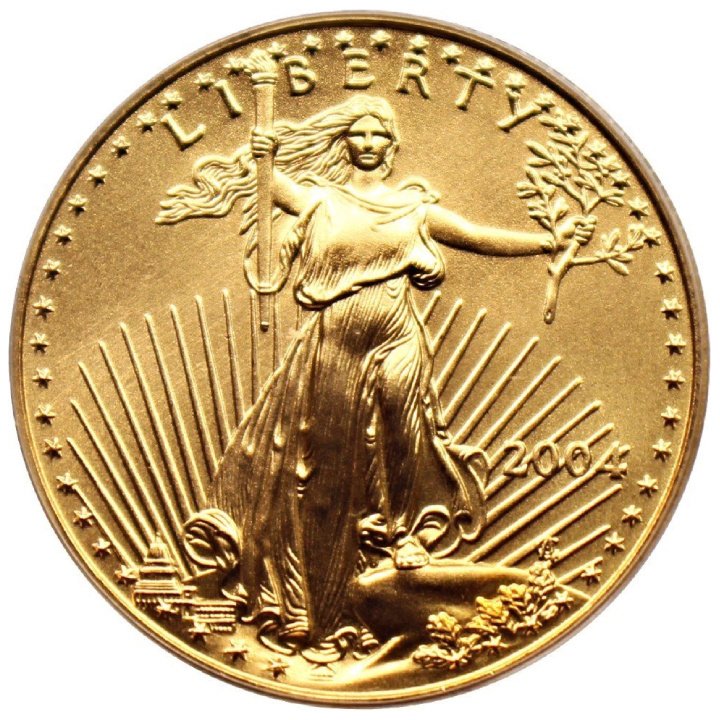 Aquila americana 1/2 oncia d'oro 2004 MS69 PCGS