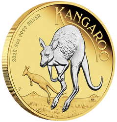 Australijski Kangur pozłacany 2 uncje Srebra 2022