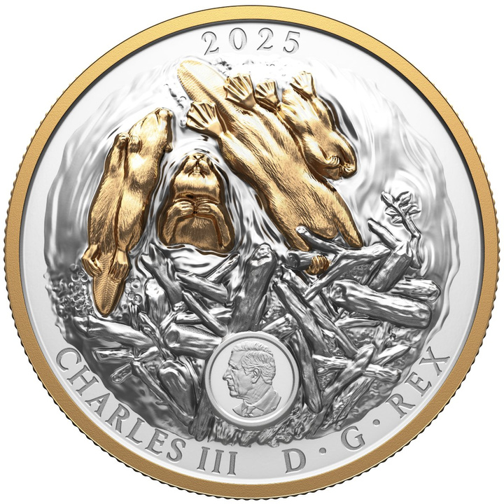 Kanada: Canadian Symbol – The Beaver pozlacený $50 Stříbro 2025 Proof High Relief