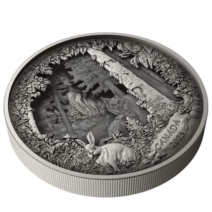 Canada: Predator or Prey in Shadow Box $175 2025 Silver Antique Finish Coin