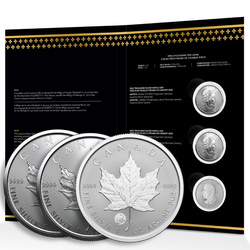 Set di 3 monete Canadian Maple Leaf Treasured 3 x 1 oncia d'argento 2022, 2023, 2024
