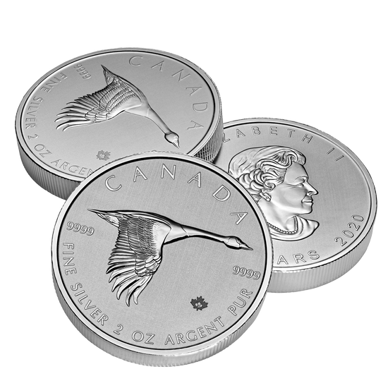 Gans 2 oz Silber 2020