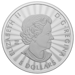 Canada: The Majestic Polar Bear 1 uncja Srebra 2023 (w karcie)