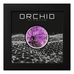 Srebrna Moneta Cook Islands: Bionics - Orchid kolorowany 1 uncja Srebra 2026 Proof