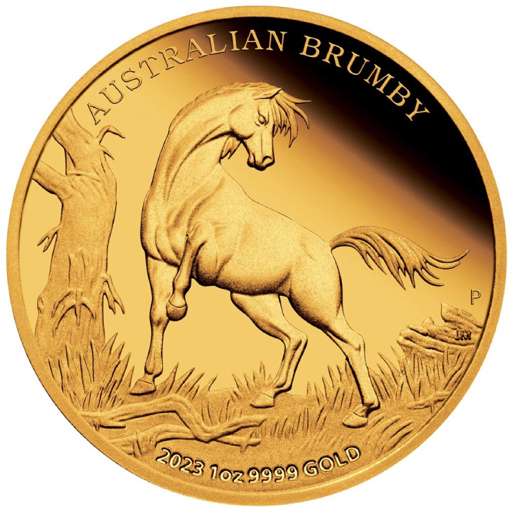 Cheval sauvage australien - Brumby 1 once d'or 2023 Proof