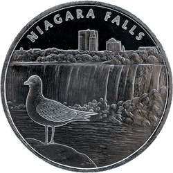 Niagara Falls 1 uncja Srebra Round