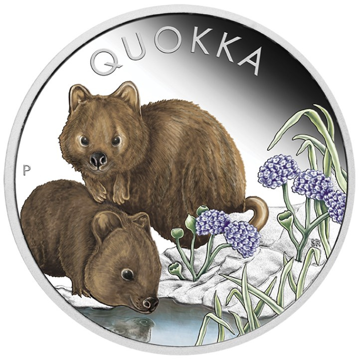 Quokka colorato 1 oncia d'argento 2023 Proof