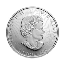 Kanada: Erdőló ezüst 2022 Rendkívüli Proof magas domborzat