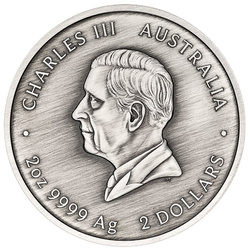 Monedă din argint The Perth Mint: Turtle Yaunati colorată 2 uncii de argint 2026 Antiqued