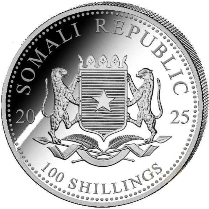 Somalia: African Wildlife - Leopard 1 oz Silver 2025