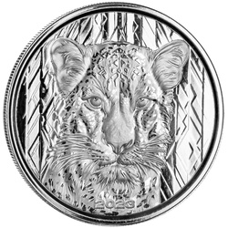 Republic of Ghana: African Leopard 1 oz Silber 2023 Prooflike