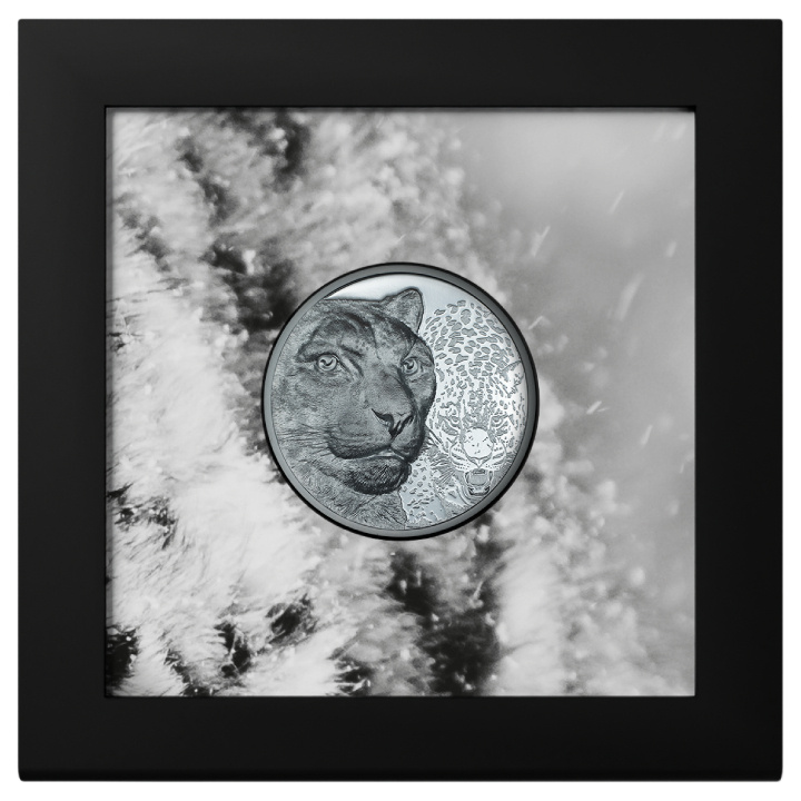 Mongolia: Snow Leopard 2 oz Silver 2024 Black Proof