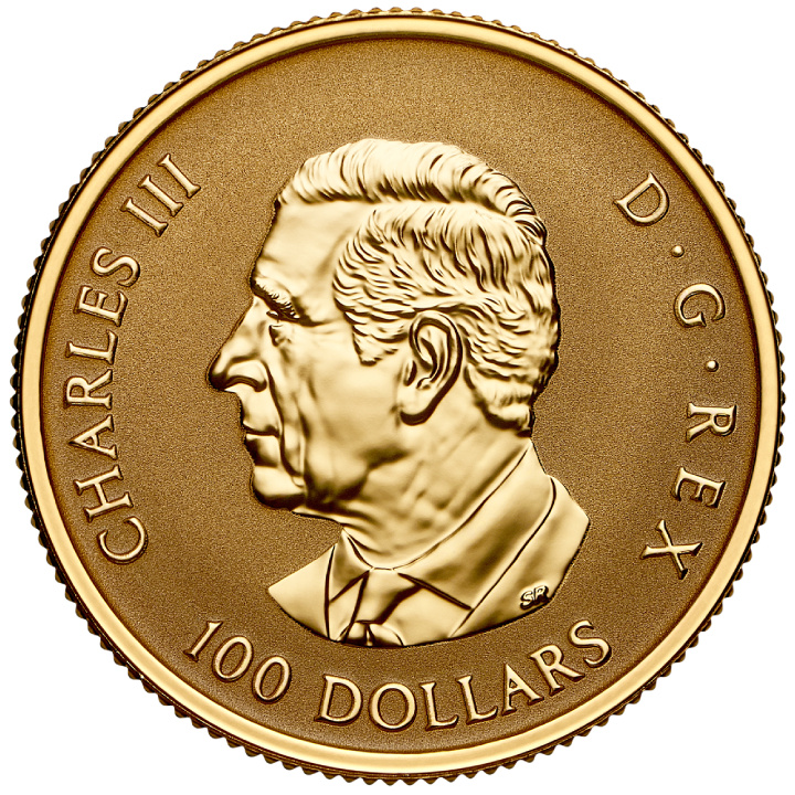 Kanadisches Ahornblatt "Gleaming Maple Leaf" $100 Gold 2025 Reverse Proof