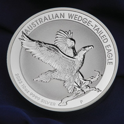 Aigle australien 10 onces d'argent 2023 Proof Incused