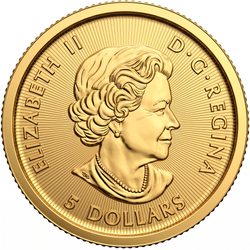 Canada: The Bald Eagle 1/10 uncji Złota 2020