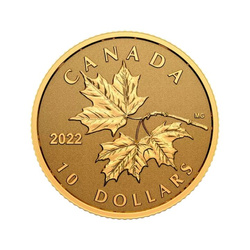 Canadá: Everlasting Maple Leaf 1/20 oz Oro 2022 Proof