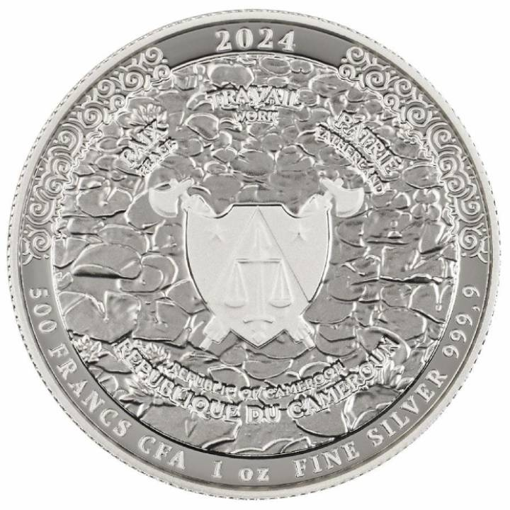 Cameroon: The Witcher Book Series - Sword of Destiny 1 oz Silver 2024 Coin