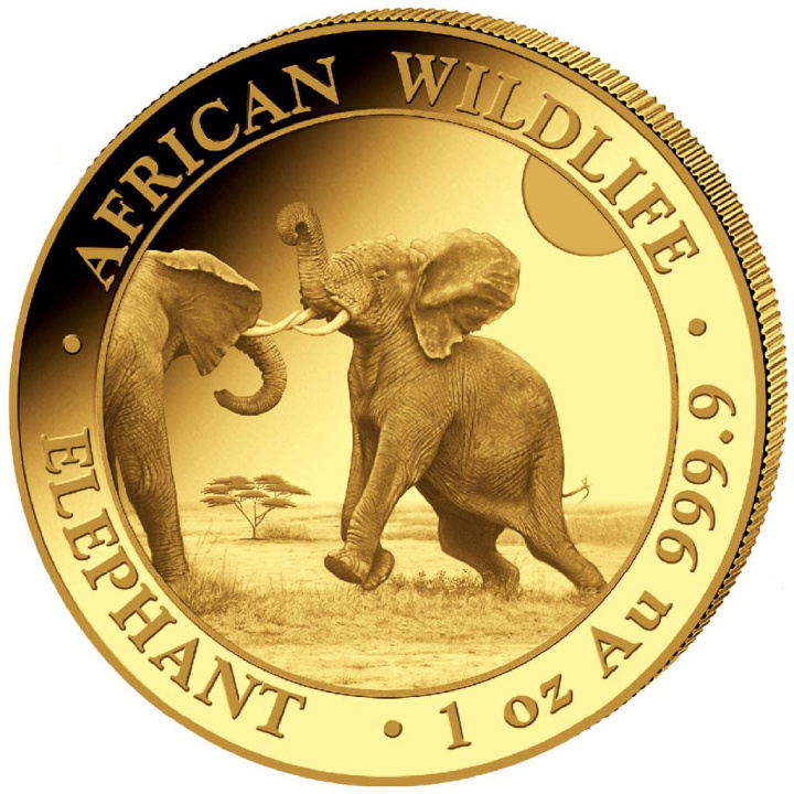 African Wildlife: Słoń Somalijski 1 uncja Złota 2024