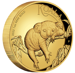Koala 1 oz Gold 2022 Proof High Relief