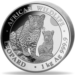 Somalia: African Wildlife - Leopard 1000 gramów Srebra 2024