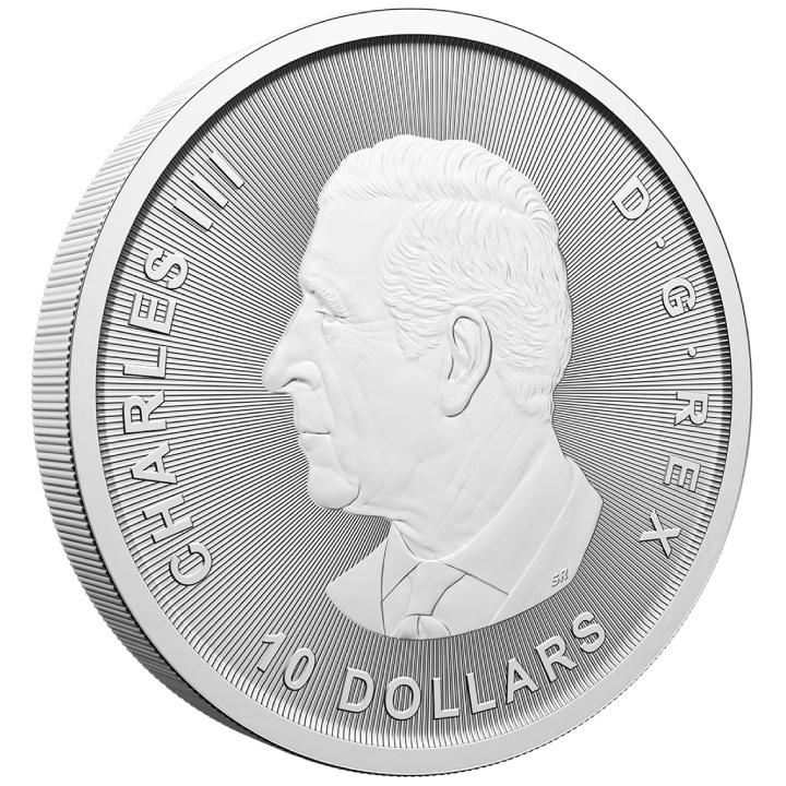 Canada: Bull and Bear 2 uncje Srebra 2025